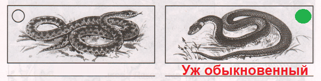 Решение рисунок 1